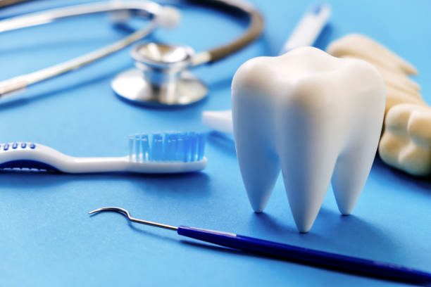 Professional Dental Services in Sheffield, AL